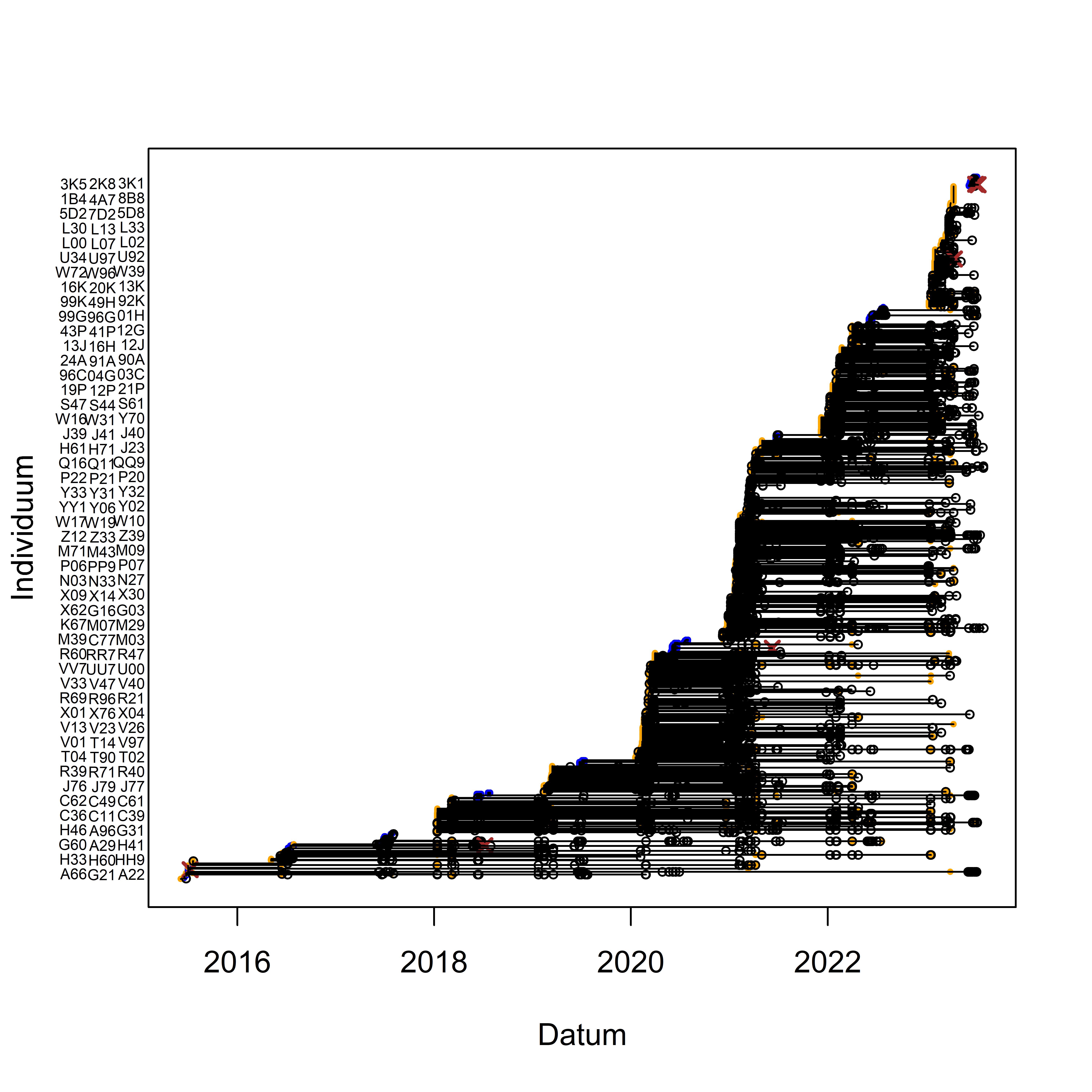 Marking- and capture/resighting data of Snowfinches in the project at the Swiss Ornithological Institute. While individuals are listed on the y-axis, the x-axis corresponds to the timeline. Captures are depicted as dots, with blue indicating nestling and orange representing fledged birds. Resightings are represented by open circles, and dead recoveries are depicted by brown crosses. Horizontal lines connect recaptures, resightings or dead recoveries of the same individual