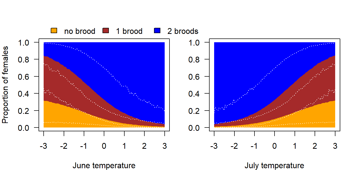 Proportion of females with 0, 1 or 2 broods. The 95% uncertainty intervals are depicted with white dotted lines. They visualise the lack of knowledge on the proportion of breeders and the proportion of second broods, as well as the uncertainty in temperature effects.